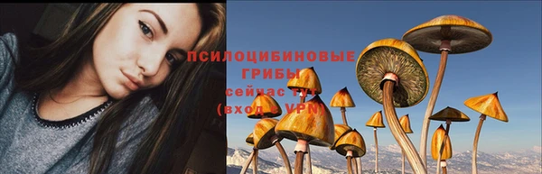 хмурый Алзамай