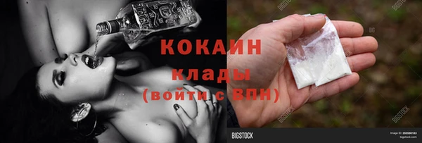хмурый Алзамай
