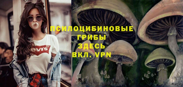 хмурый Алексеевка