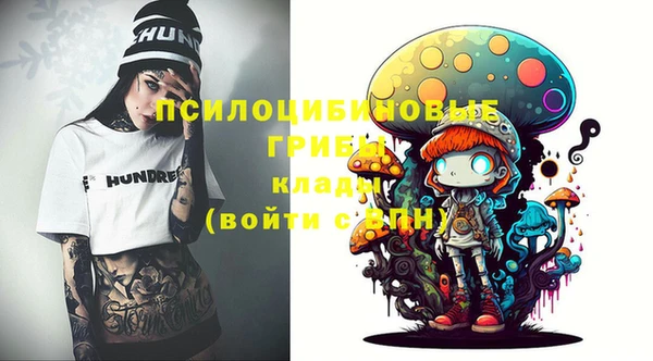хмурый Алексеевка