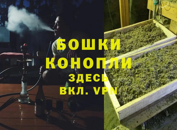 хмурый Алексеевка
