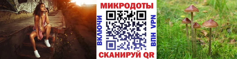 Псилоцибиновые грибы мицелий  Карпинск 
